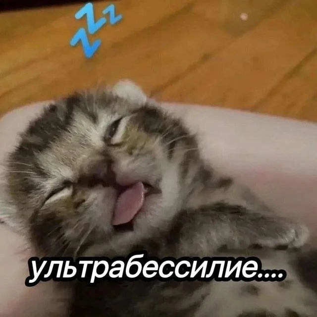 Смешные скрины из соцсетей #47