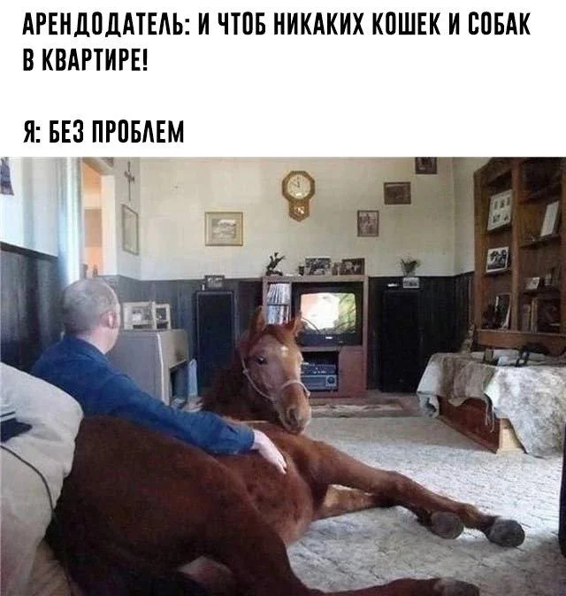 Нестандартный юмор #342