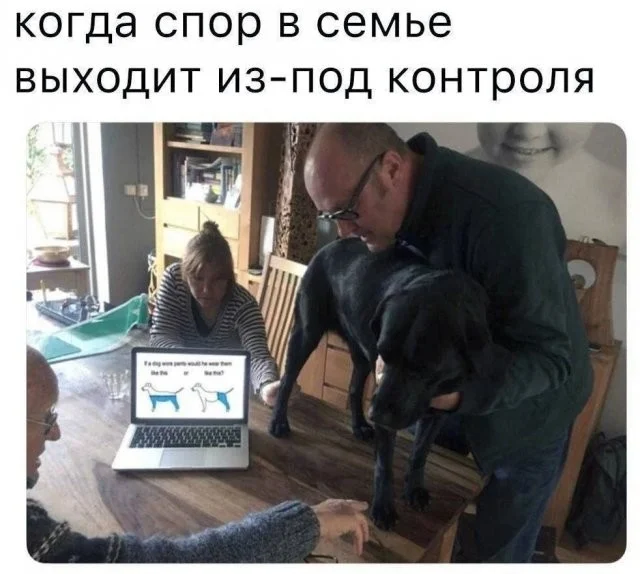 Смешные скрины из соцсетей #33