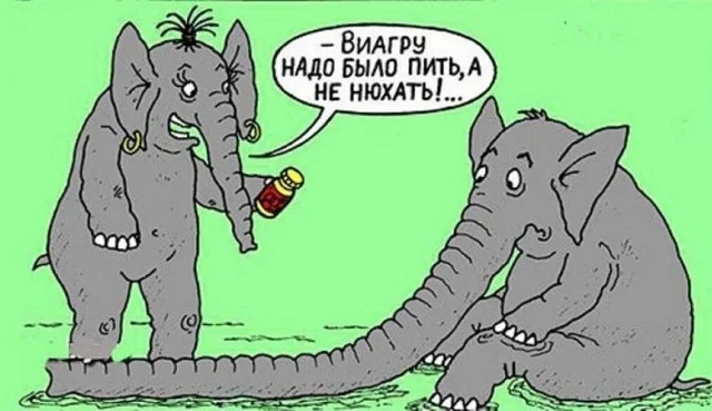Картинки веселые и прекрасные