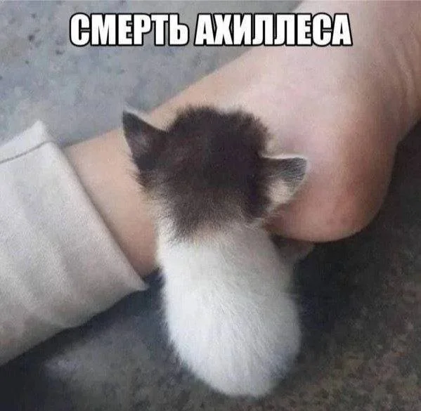 Смешные скрины из соцсетей #46