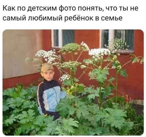 Веселые и смешные картинки