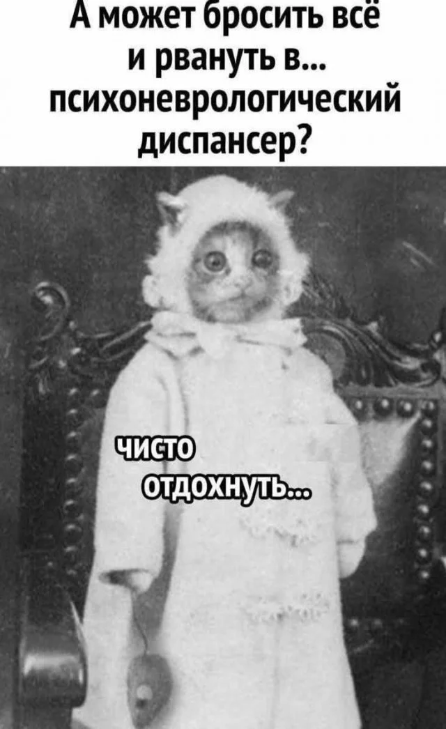 Улыбательные картинки разной степени свежести