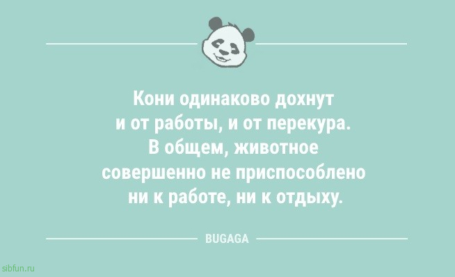 Анекдоты посмеяться: «Летнее расписание…» 