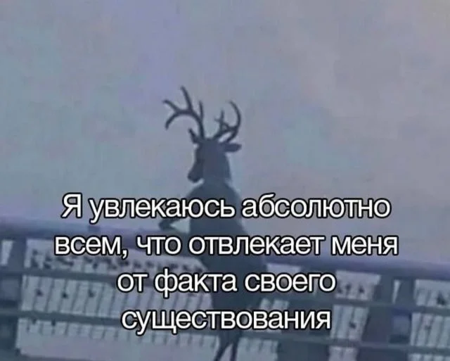 Смешные скрины из соцсетей #44