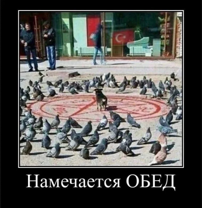 Нестандартный юмор #354