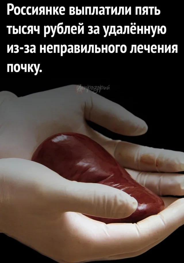 Свежо и хорошо! Приколы!
