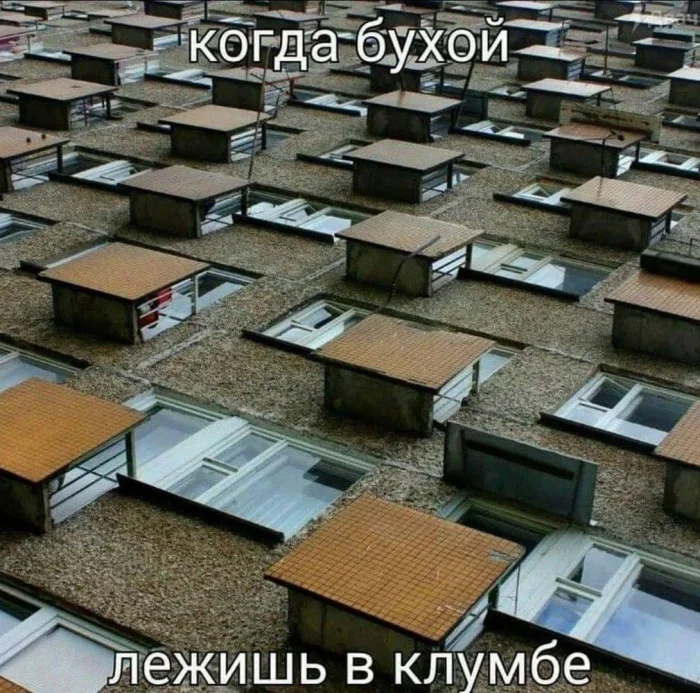 Нестандартный юмор #365