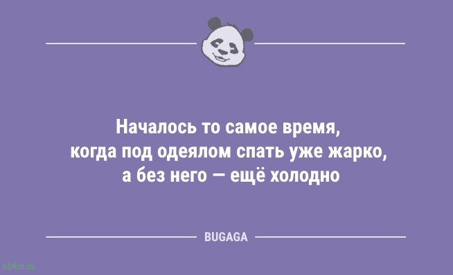Анекдоты для настроения: «Утро понедельника…» 