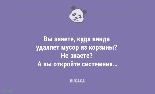 Анекдоты для настроения: «Утро понедельника…» 