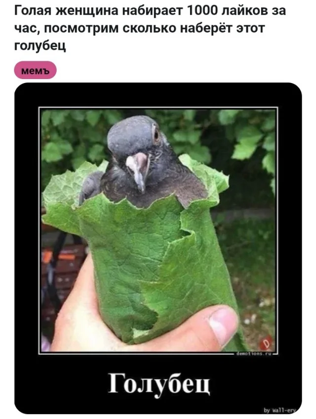 Баян за баяном