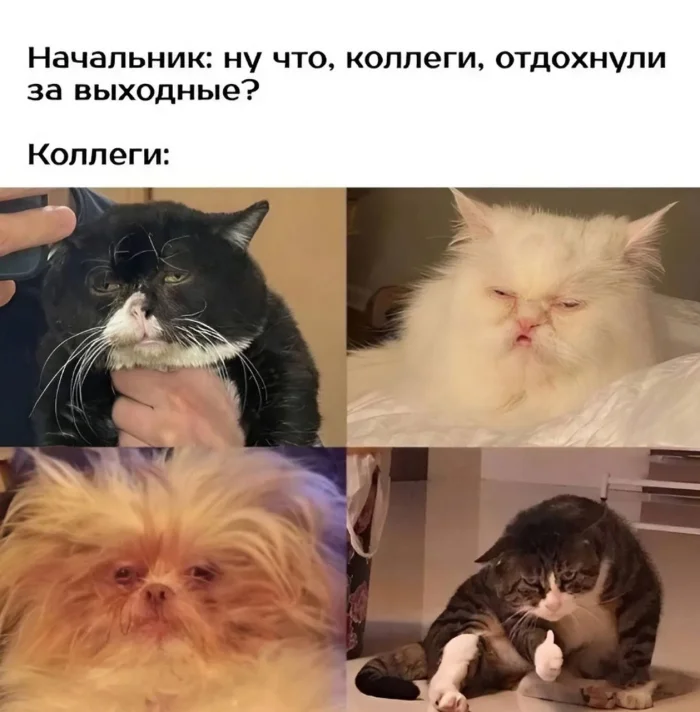 Нестандартный юмор #346