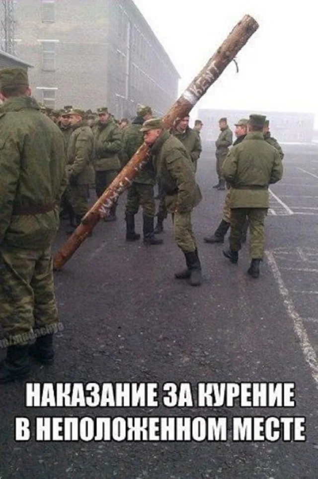 Куда уже свежей? Прикольные картинки!