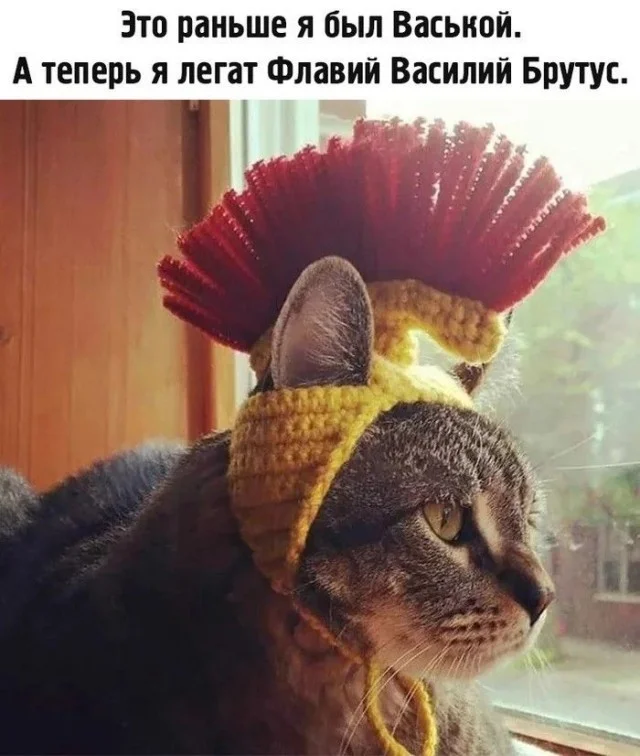 Рим и история - юмористические картинки