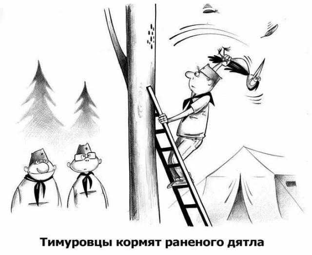 Смешные скрины из соцсетей #47