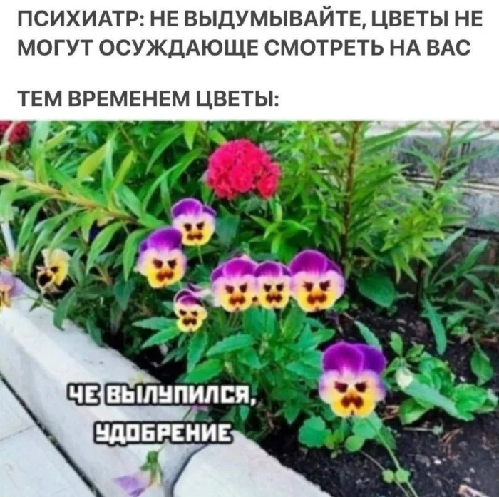 Нестандартный юмор #348