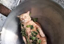 Смешные скрины из соцсетей #41