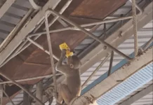 Эти 16 героев дня явно не рассчитывали на такой поворот событий