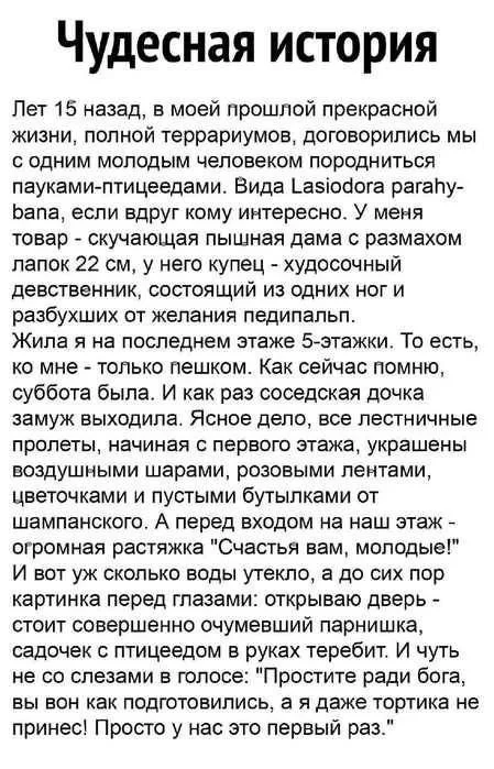 Юмор, что надо!
