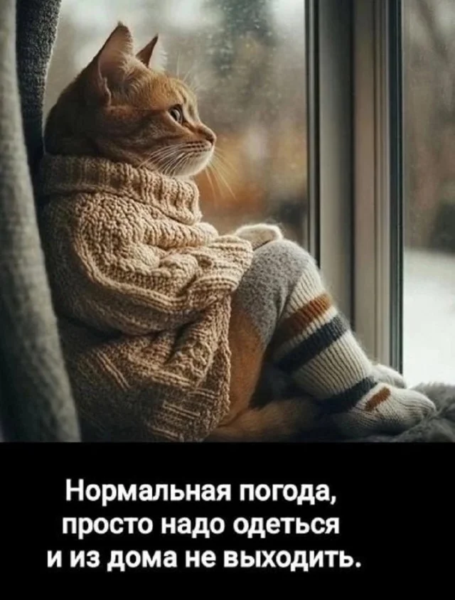 Очередная подборка приколов