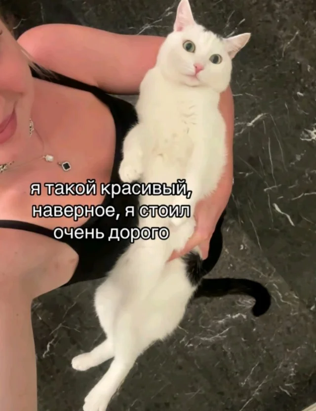 Кайф, а не прикольные картинки
