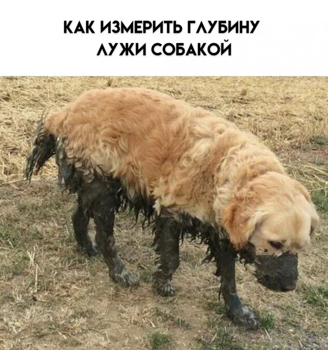 Так себе приколы