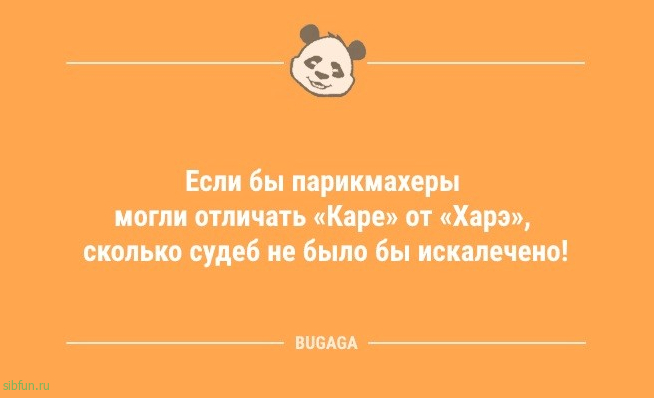 Анекдоты для хорошего настроения: «В самолёте на юг летят он и она…» 