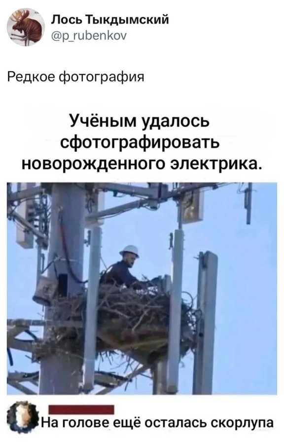 Нестандартный юмор #357