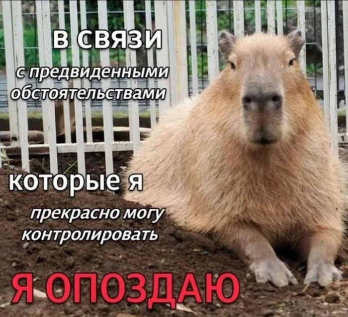 Нестандартный юмор #342