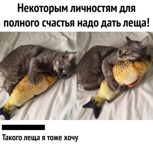 Актуально и свежо: Прикольные картинки