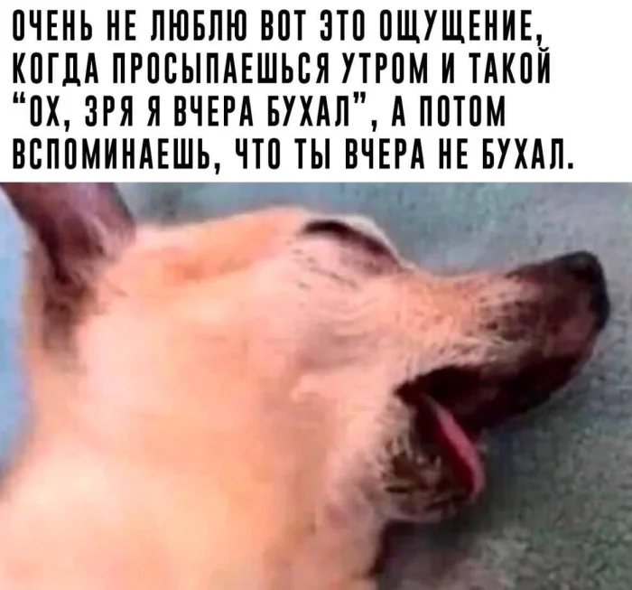 Ну такие себе картинули