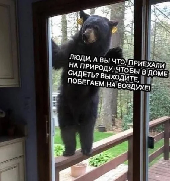 Разные картиночки