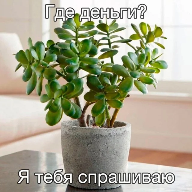 Прикольные картинки. Свежее некуда!