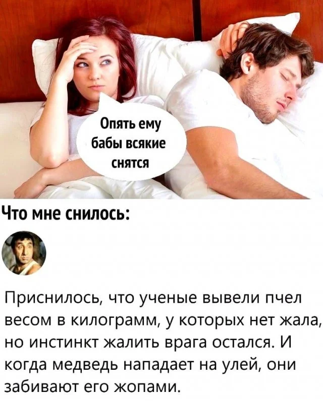 Коллекция баянов