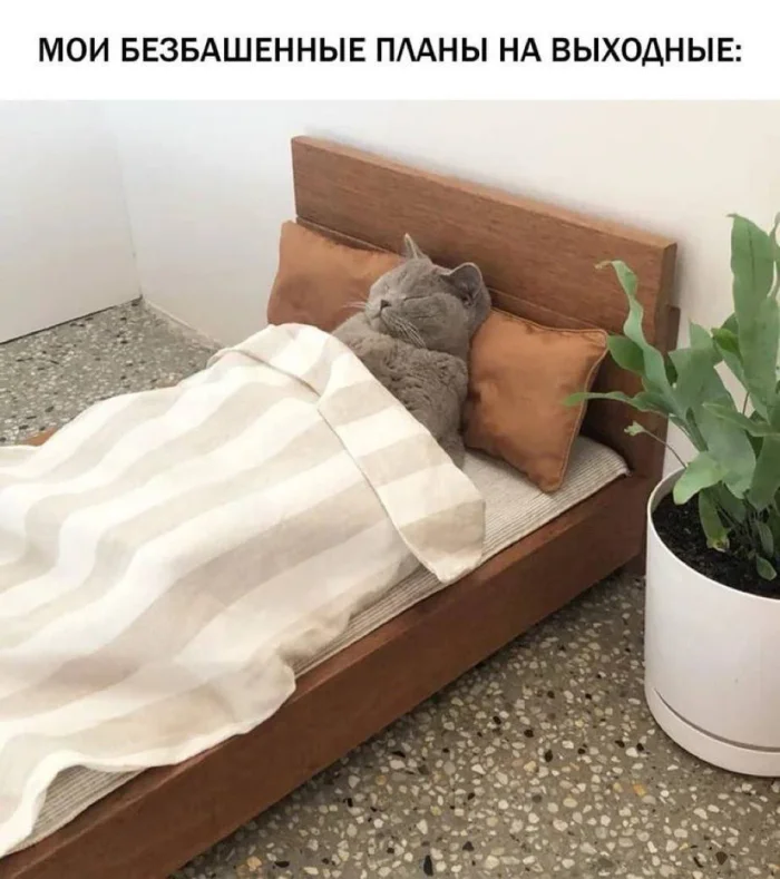 Нестандартный юмор #364
