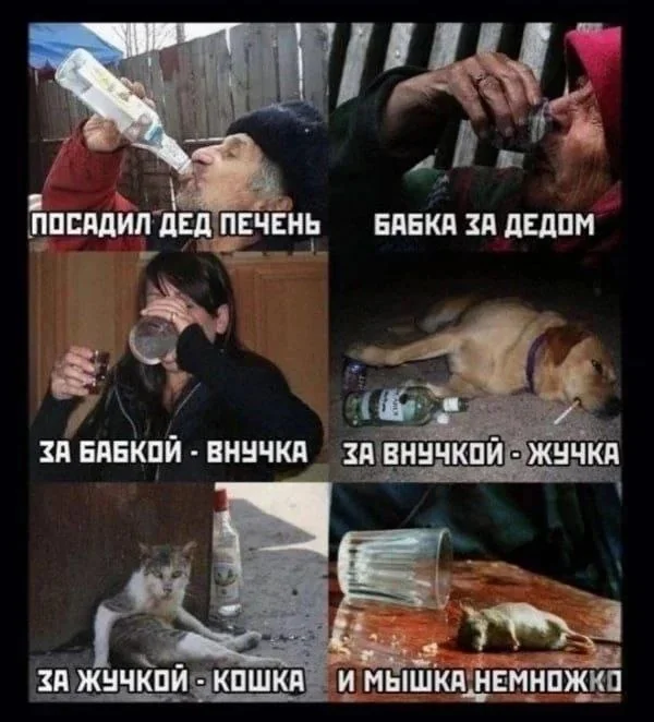 Ну такие себе картинули