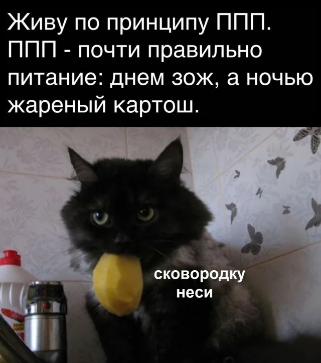 Держите смешнявки