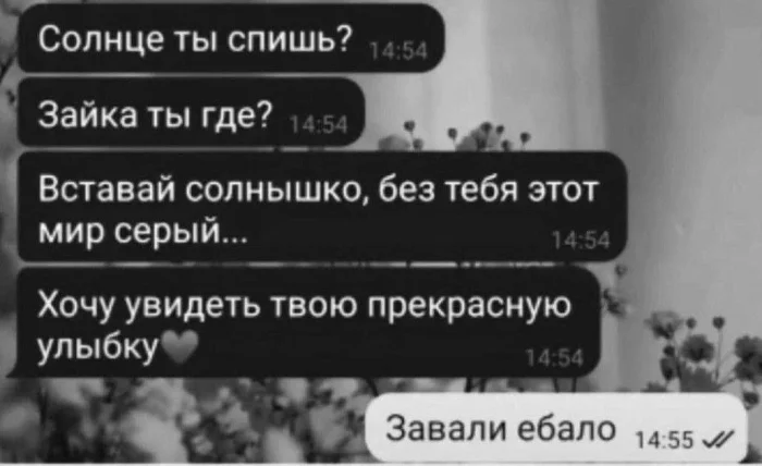 Нестандартный юмор #377