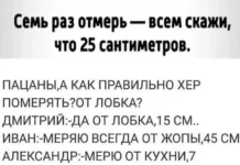 Нестандартный юмор #381