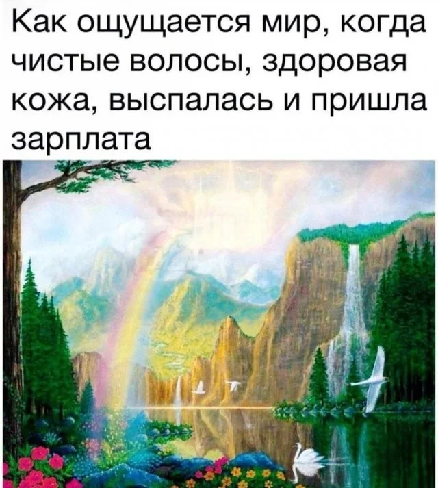 Смешные скрины из соцсетей #50