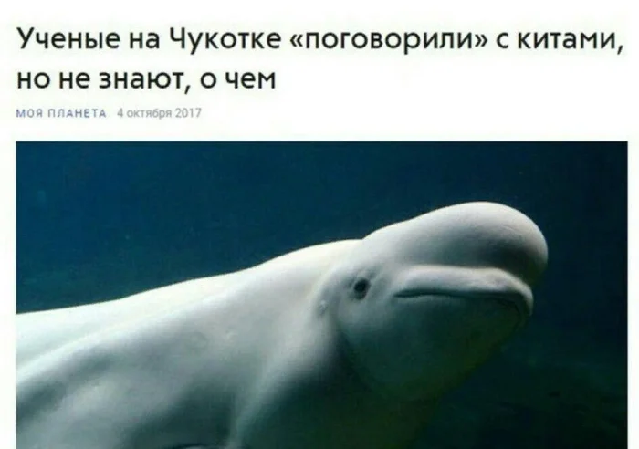Нестандартный юмор #377