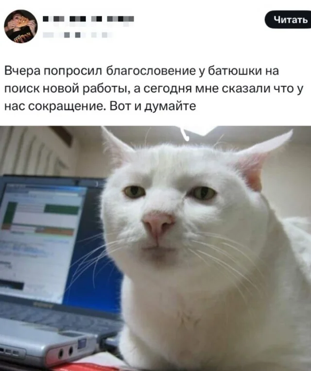 Веселушки