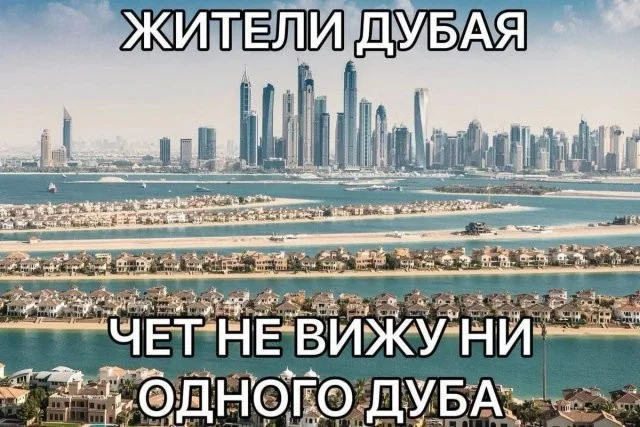 Смешные скрины из соцсетей #49