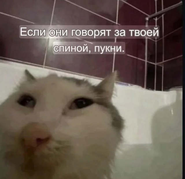 Смешные скрины из соцсетей #58