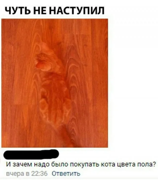 Держите смешнявки