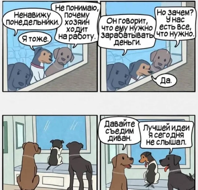 Классные веселые картинки!