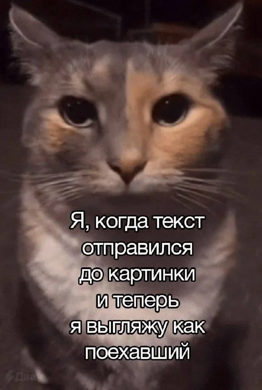 Веселушки