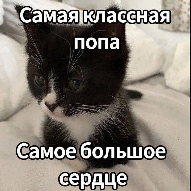 Смешные скрины из соцсетей #48