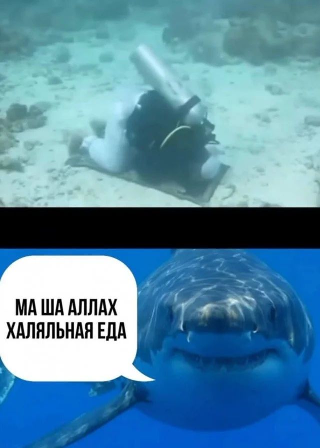 Зашел и улыбнулся!