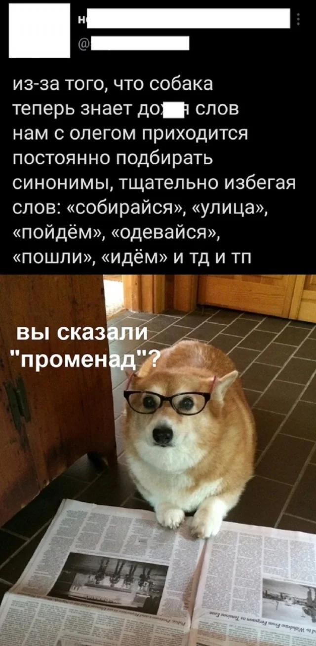 Держите смешнявки